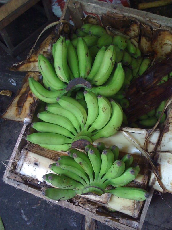 Saba